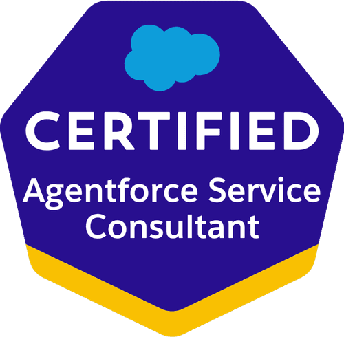 2025-03_Platform-consultant